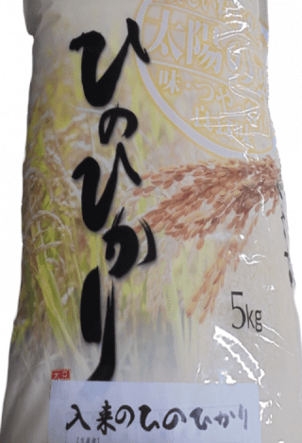 入来ヒノヒカリ